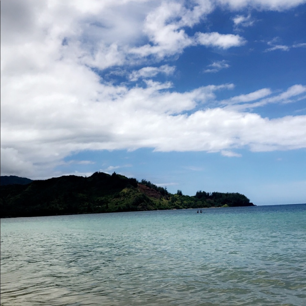 Meet your Posher, Maggie